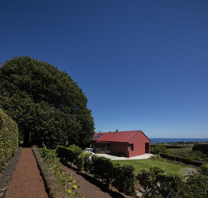卡佩拉什 Quinta Da Tilia Boutique Retreat旅馆 外观 照片