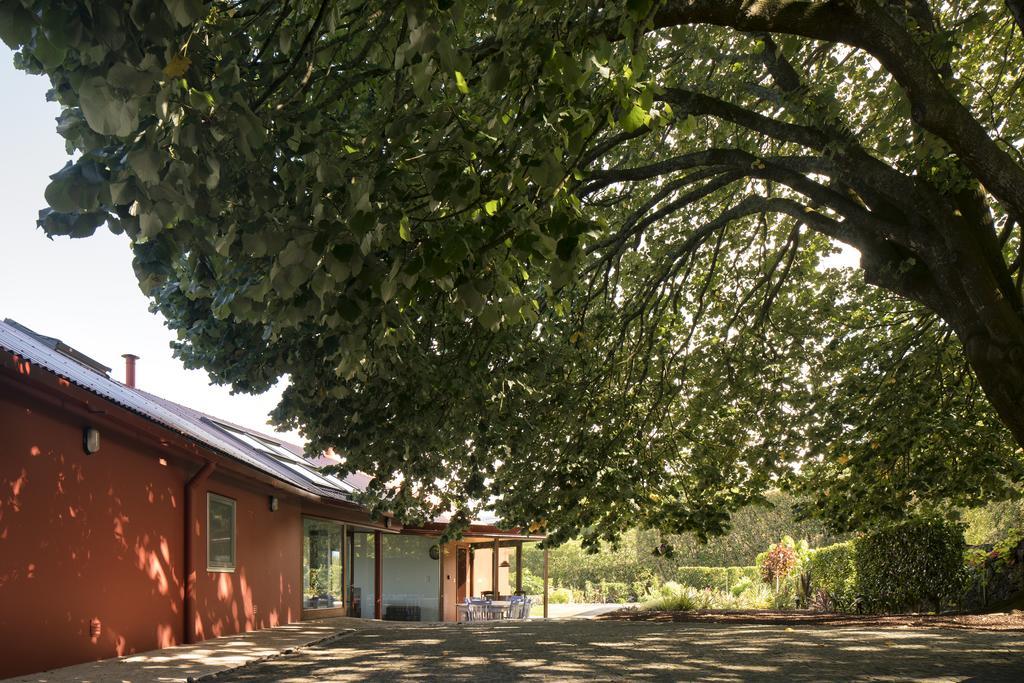 卡佩拉什 Quinta Da Tilia Boutique Retreat旅馆 外观 照片